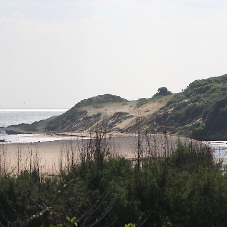 Yala Bay Resort ทิซซามาฮารามา ภายนอก รูปภาพ