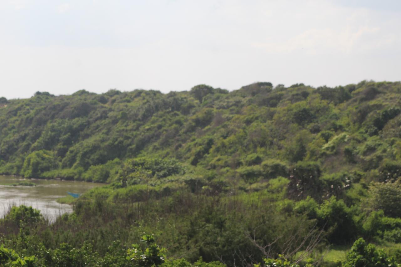 Yala Bay Resort ทิซซามาฮารามา ภายนอก รูปภาพ