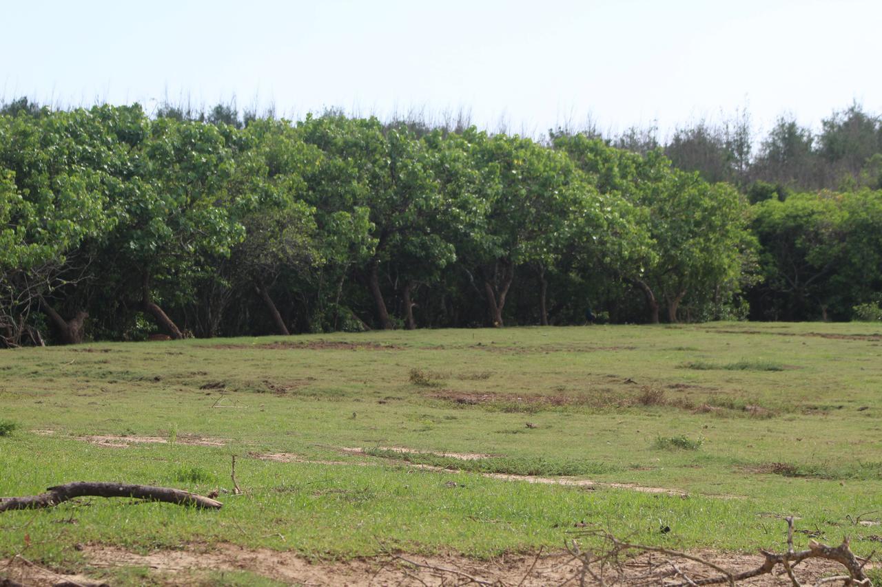 Yala Bay Resort ทิซซามาฮารามา ภายนอก รูปภาพ